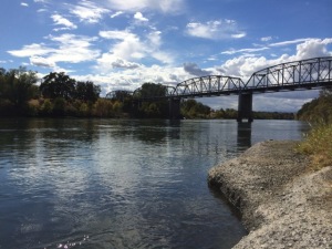 Just another view from the office. Somewhere along the Sacramento River. Photo by Carly Summers